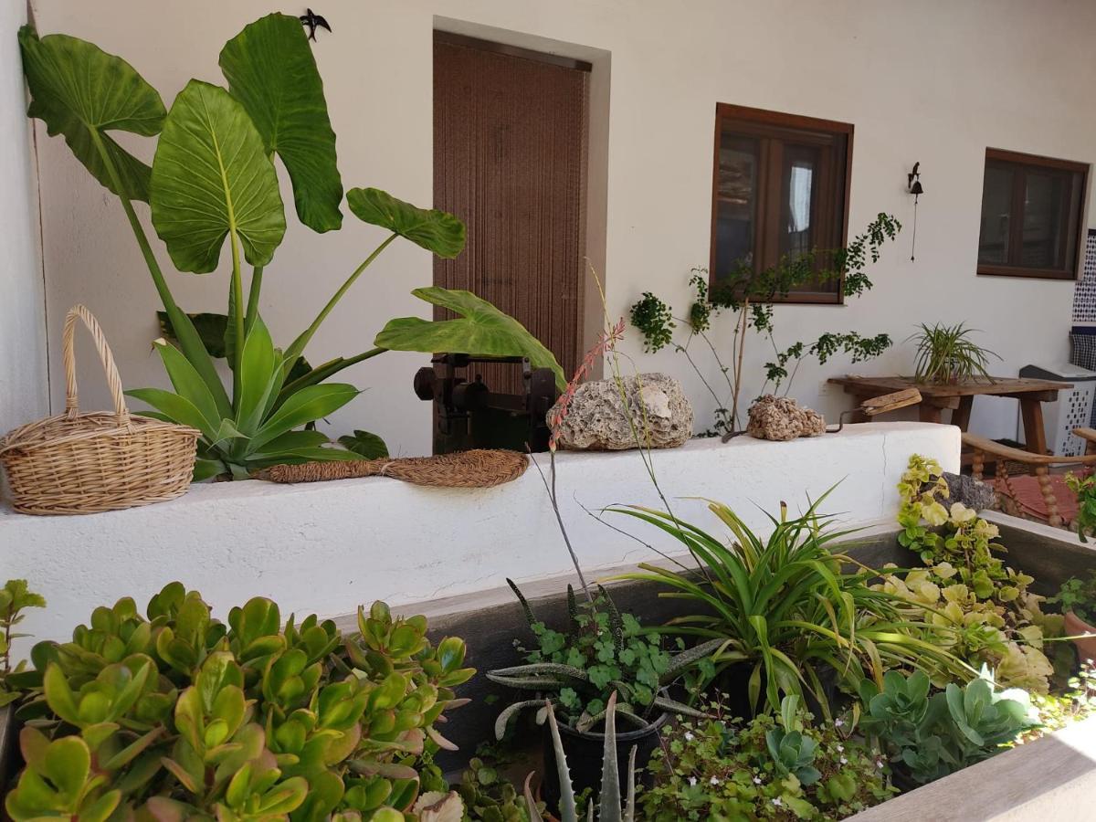 Confortable casa rural con Ecohuerto y jardín Lorca  Exterior foto